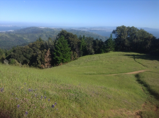 Green meadow, a trail, and a view all the way to San Francisco