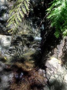 A small seasonal streamlet flowing across rock next to the path.